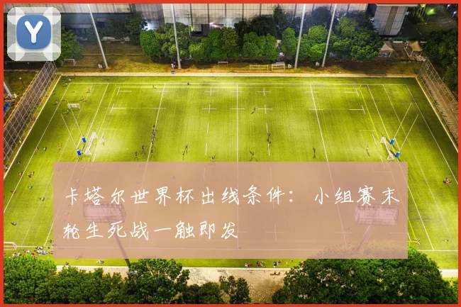 卡塔尔世界杯出线条件:小组赛末轮生死战一触即发