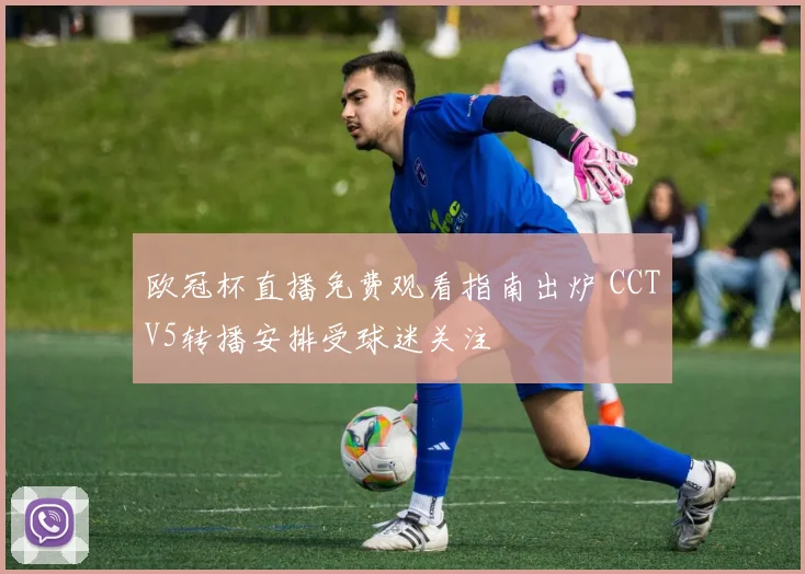 欧冠杯直播免费观看指南出炉 CCTV5转播安排受球迷关注